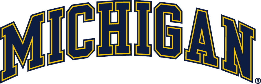 Michigan Wolverines 2016-Pres Wordmark Logo diy iron on heat transfer